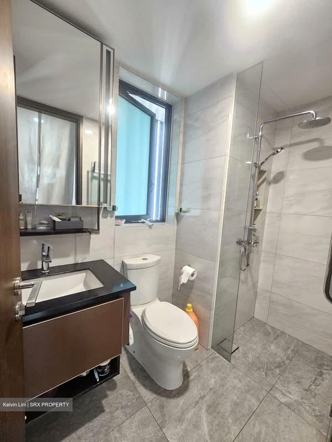 Normanton Park (D5), Apartment #597782771